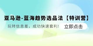 亚马逊-蓝海趋势选品法特训营插图 亚马逊-蓝海趋势选品法特训营