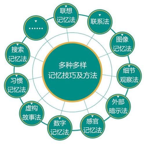 中小学必备高效记忆法 解锁学习潜能插图 中小学必备高效记忆法 解锁学习潜能