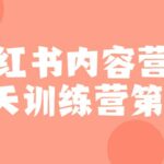 小红书内容营销60天训练营第6期