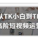 从TK小白到TK高阶短视频运营