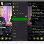 电梓播放器 v2.17.8 b站第三方音乐播放器