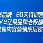 小红书品牌60天训练营第6期，GMV2亿级品牌老板都在学，教会你内容营销底层逻辑