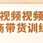 短视频视频号电商带货训练营
