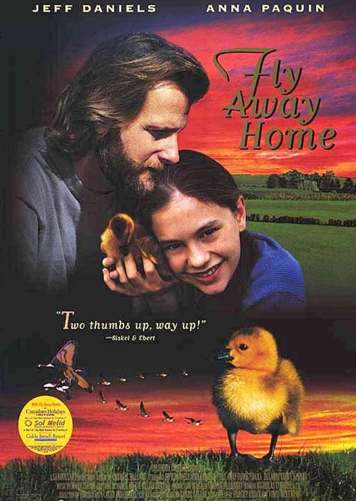 伴你高飞 Fly Away Home (1996) 1080P 英语中字 [剧情家庭] 卡罗尔&middot;巴拉德